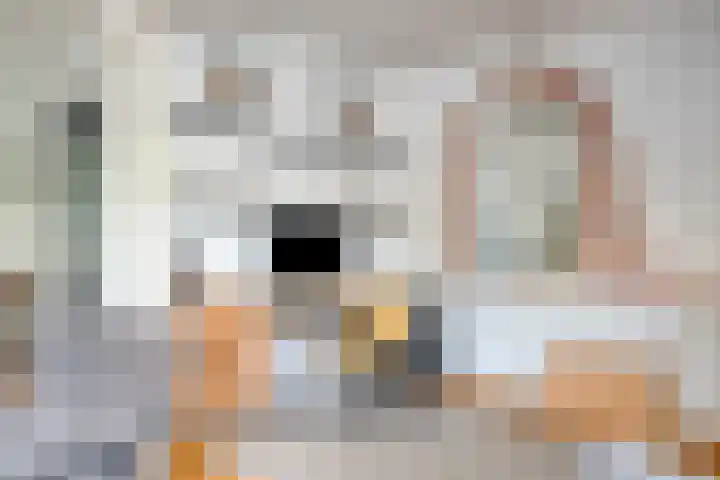De Indus 6 Drunen thumbnail 8