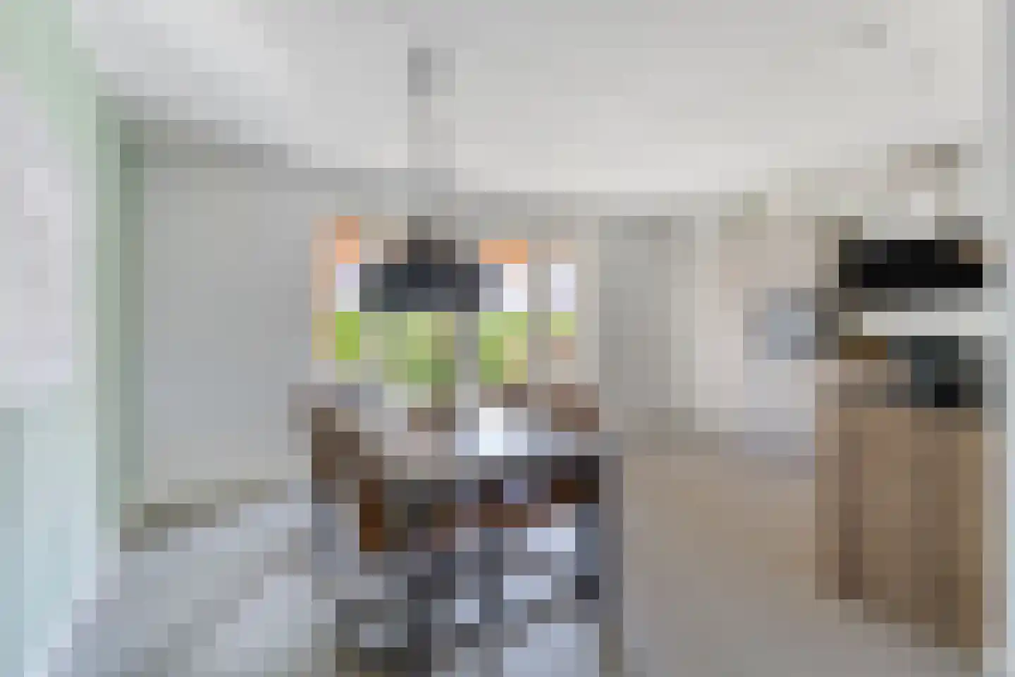 De Ing 10 Geffen thumbnail 10