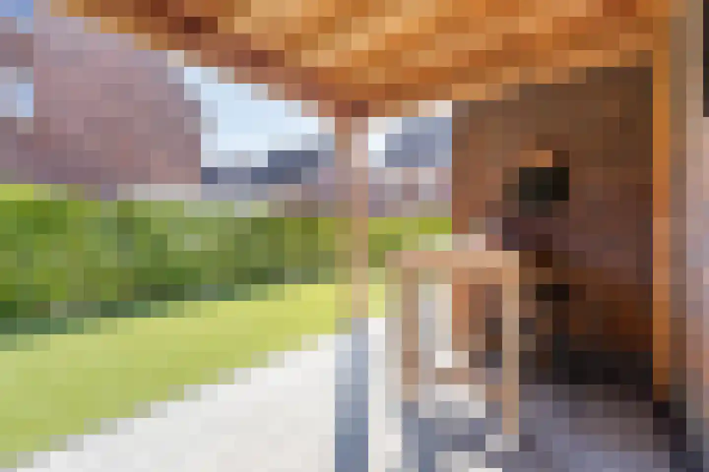 De Ing 10 Geffen thumbnail 15