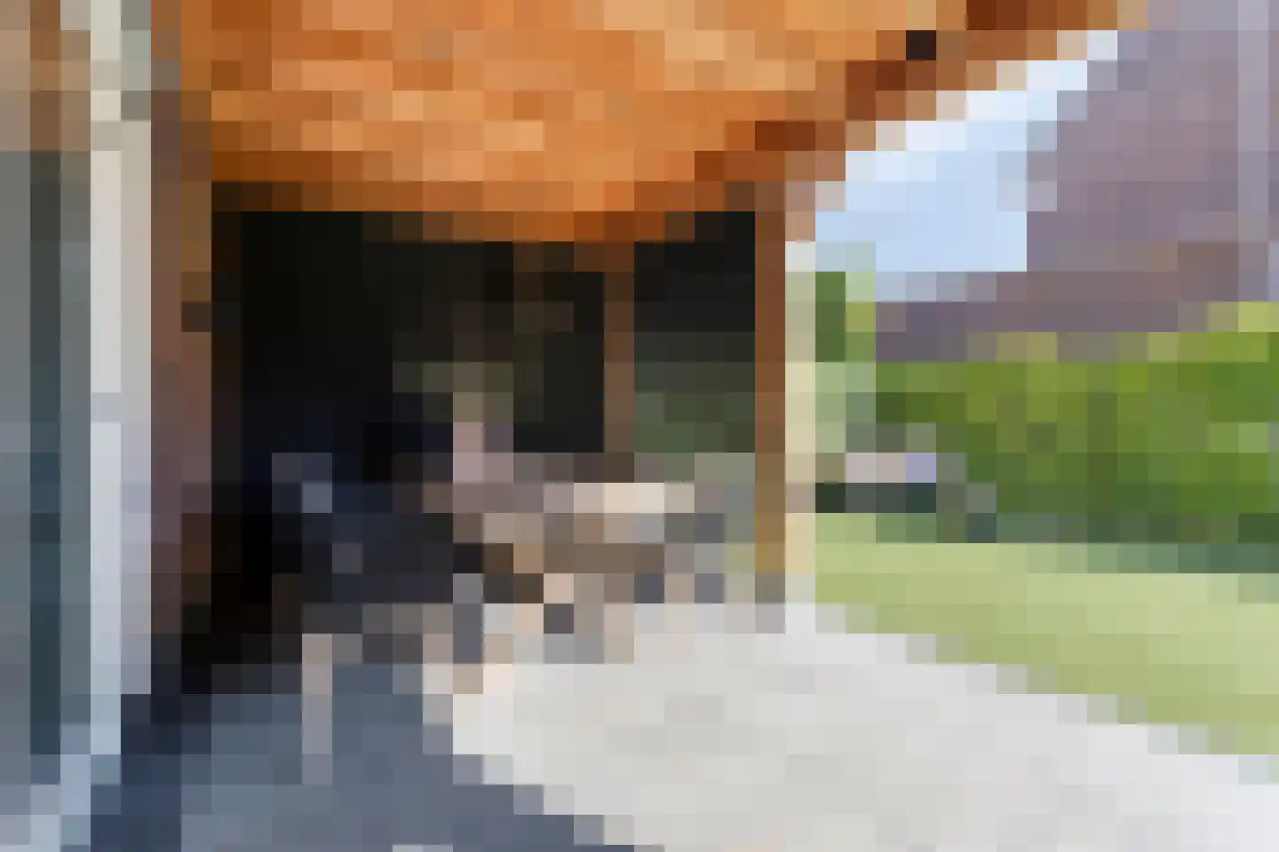 De Ing 10 Geffen thumbnail 16