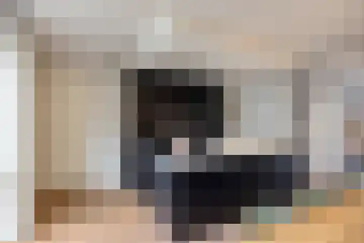De Ing 12 Geffen thumbnail 16