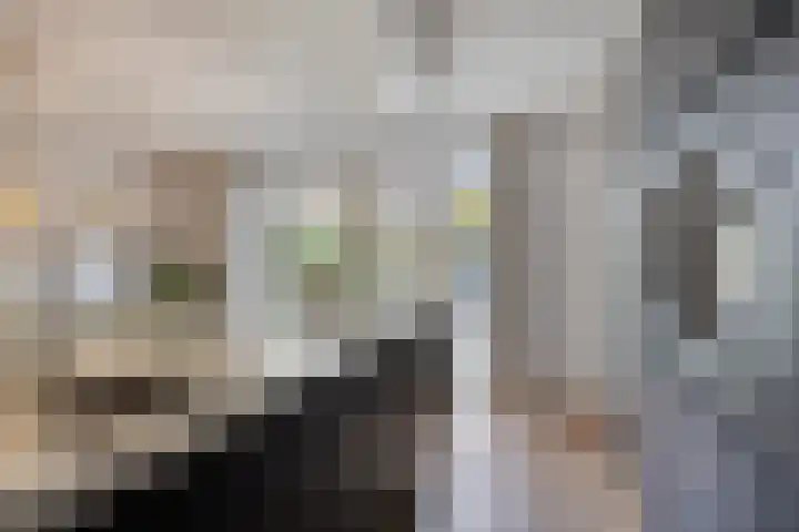 De Ing 12 Geffen thumbnail 20