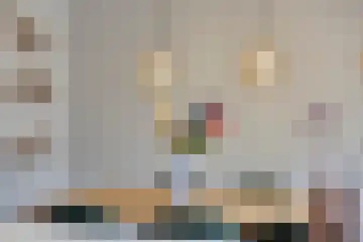 De Ing 12 Geffen thumbnail 22