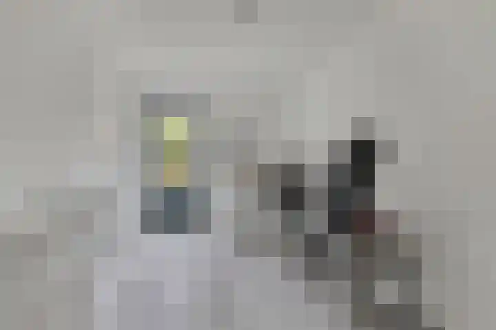 De Ing 12 Geffen thumbnail 25