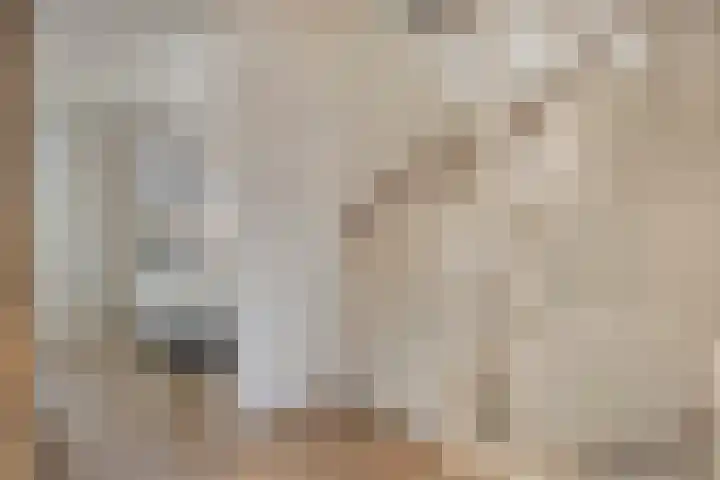 De Ing 12 Geffen thumbnail 26