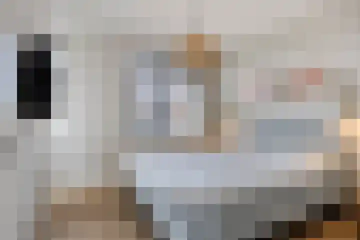 De Ing 12 Geffen thumbnail 27
