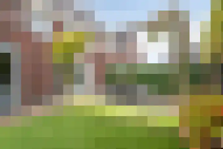 De Ing 12 Geffen thumbnail 40