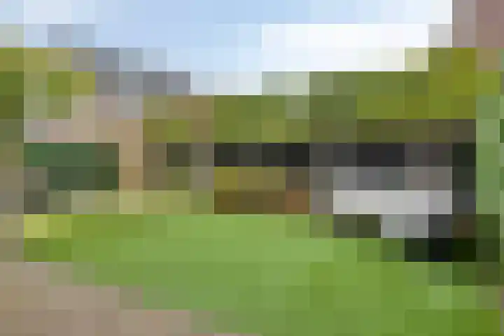 De Ing 12 Geffen thumbnail 42