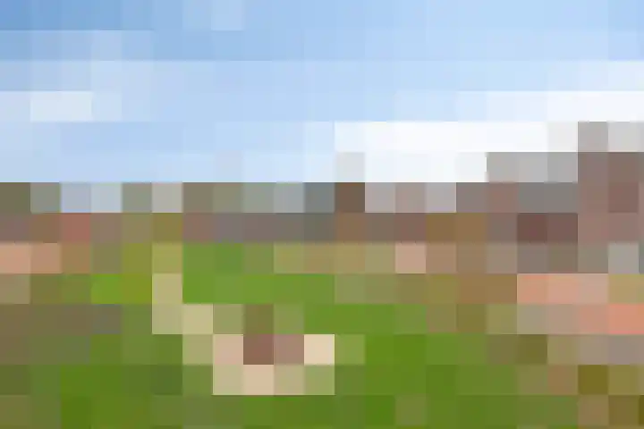 De Ing 12 Geffen thumbnail 46