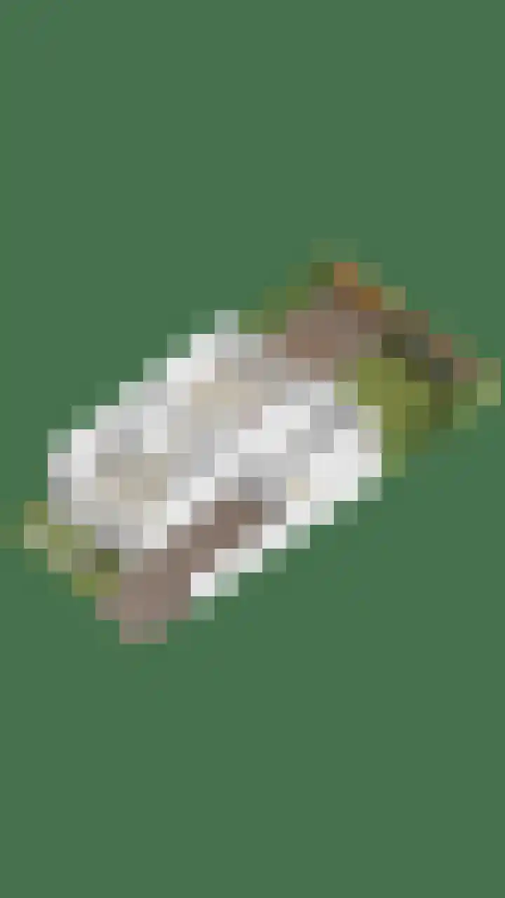 De Ing 12 Geffen thumbnail 48