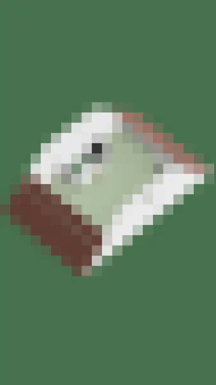 De Ing 12 Geffen thumbnail 54