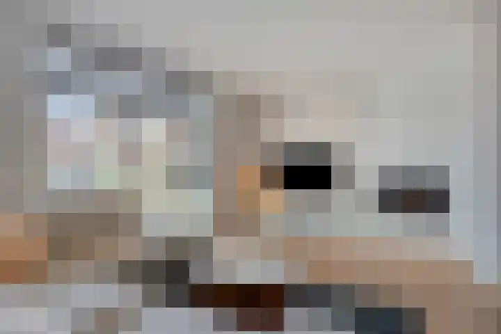 De Ing 12 Geffen thumbnail 8