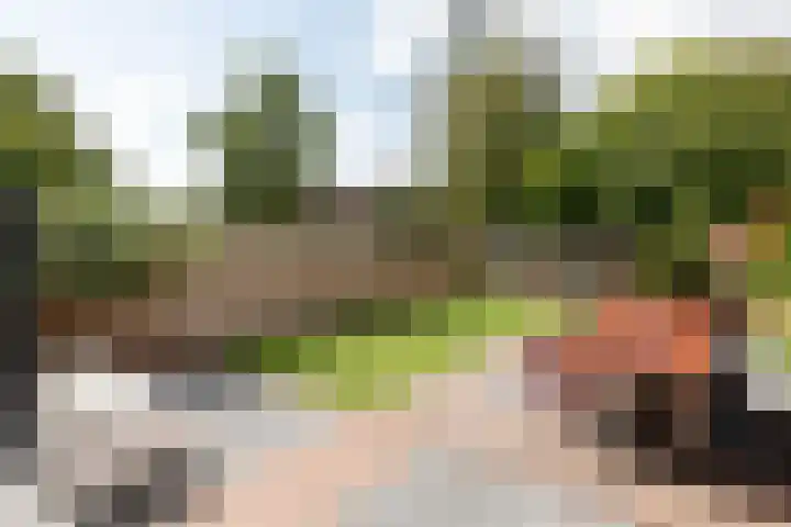 De Ing 4 Geffen thumbnail 12