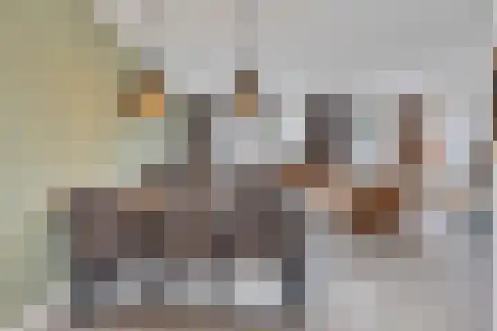 De Ing 4 Geffen thumbnail 14