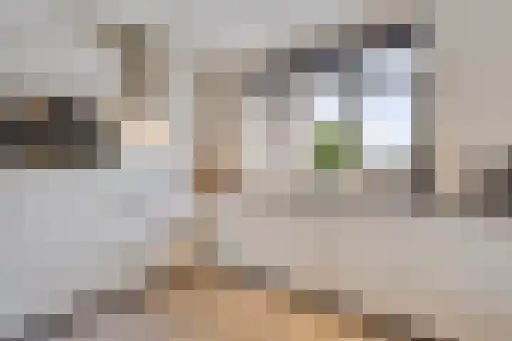 De Ing 4 Geffen foto 3