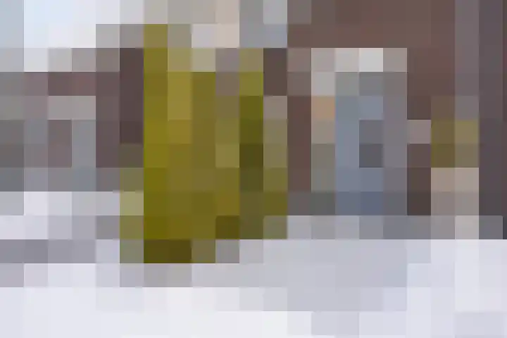 De Ing 4 Geffen thumbnail 5