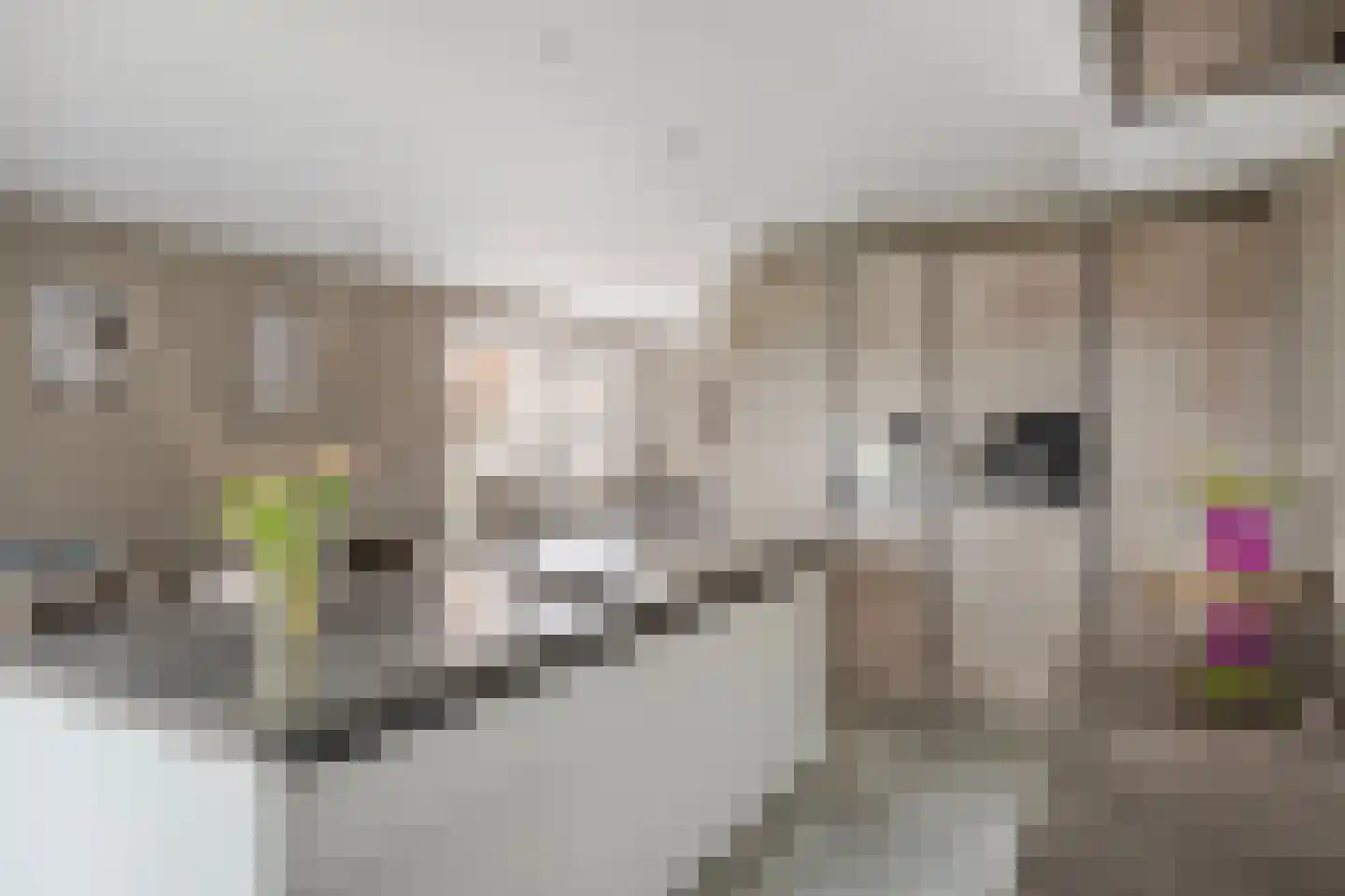 De Ing 5 Geffen thumbnail 11