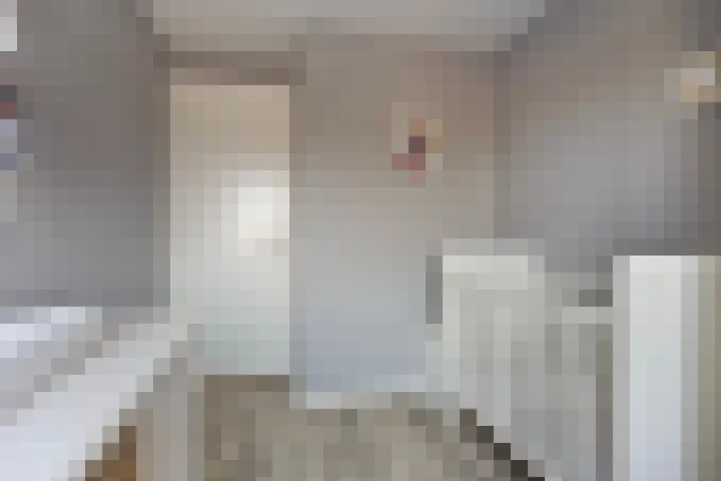De Ing 5 Geffen thumbnail 28