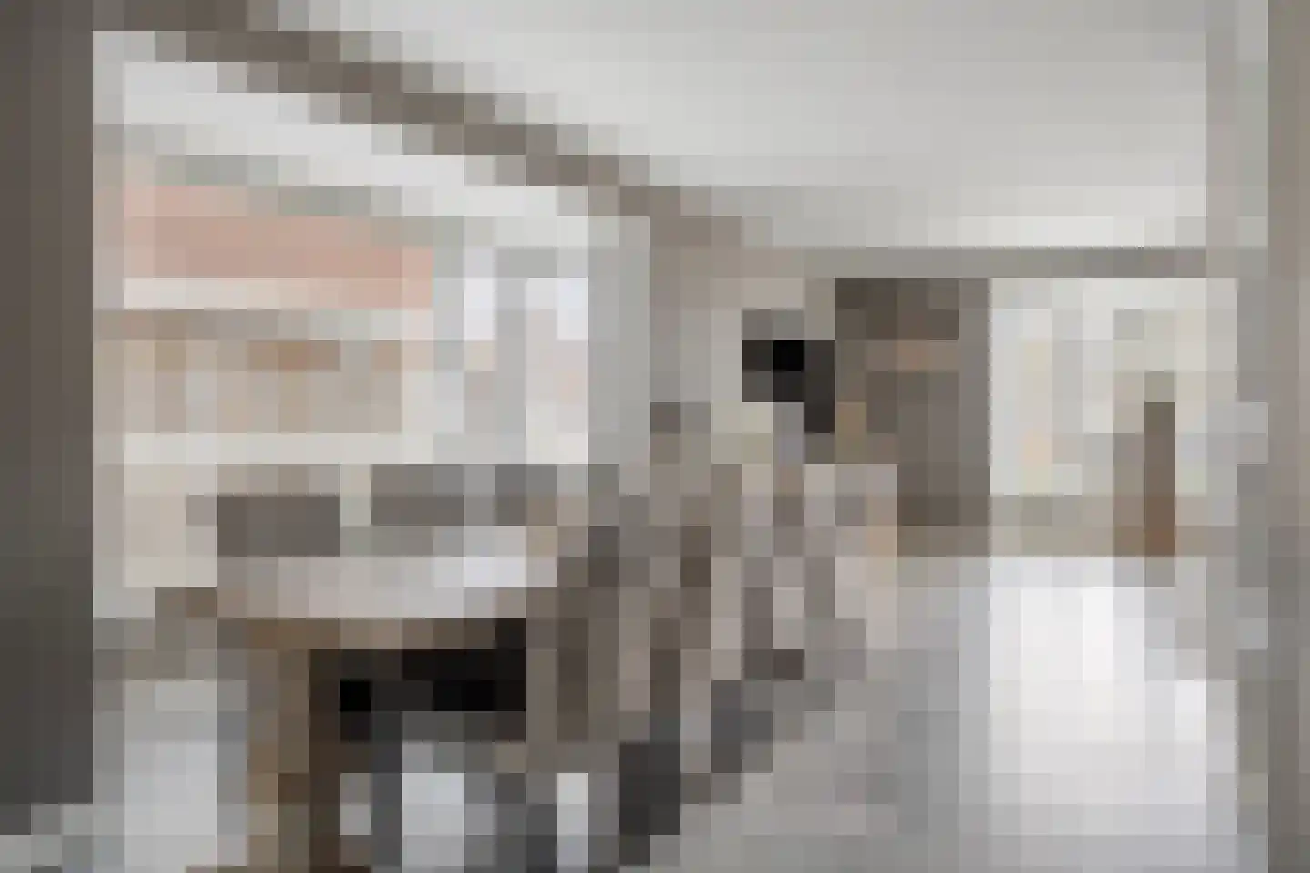 De Ing 5 Geffen thumbnail 4