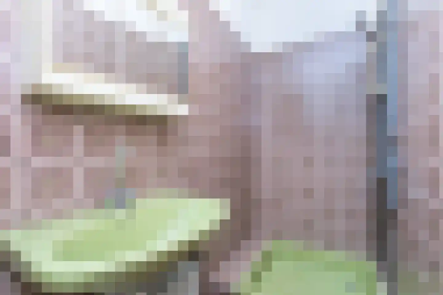 De Insel 1 Brunssum thumbnail 5