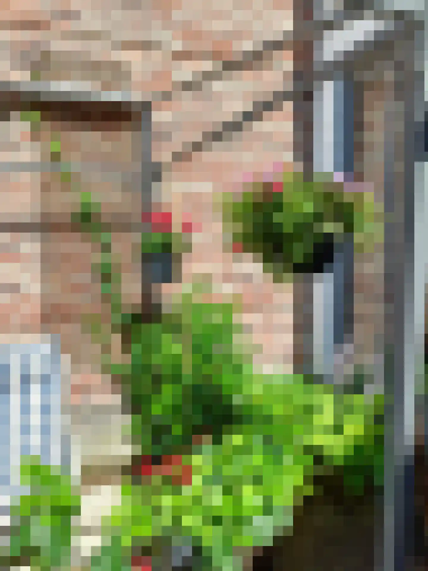 De Insulindestraat 51 Vlissingen thumbnail 26