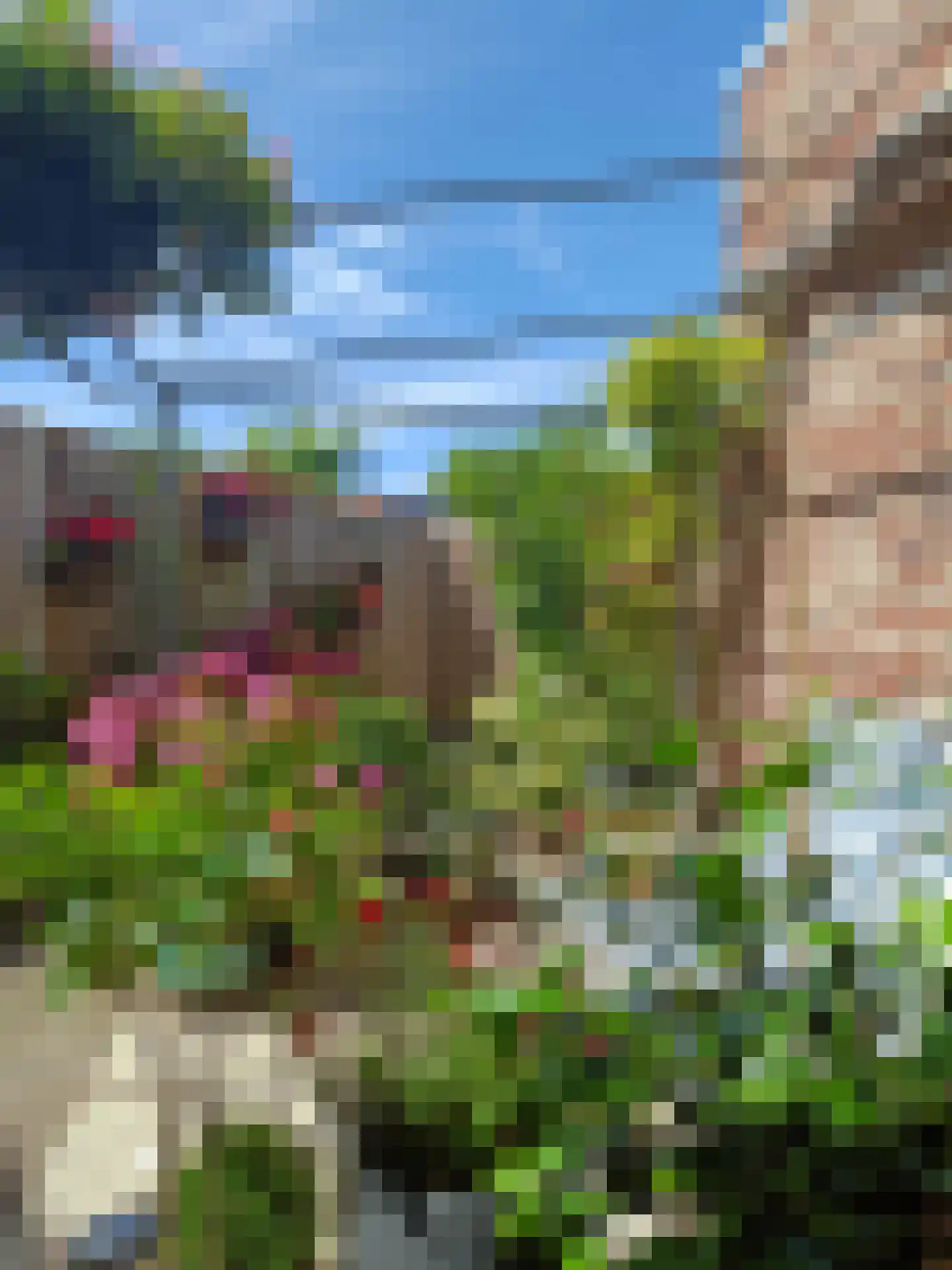 De Insulindestraat 51 Vlissingen thumbnail 27
