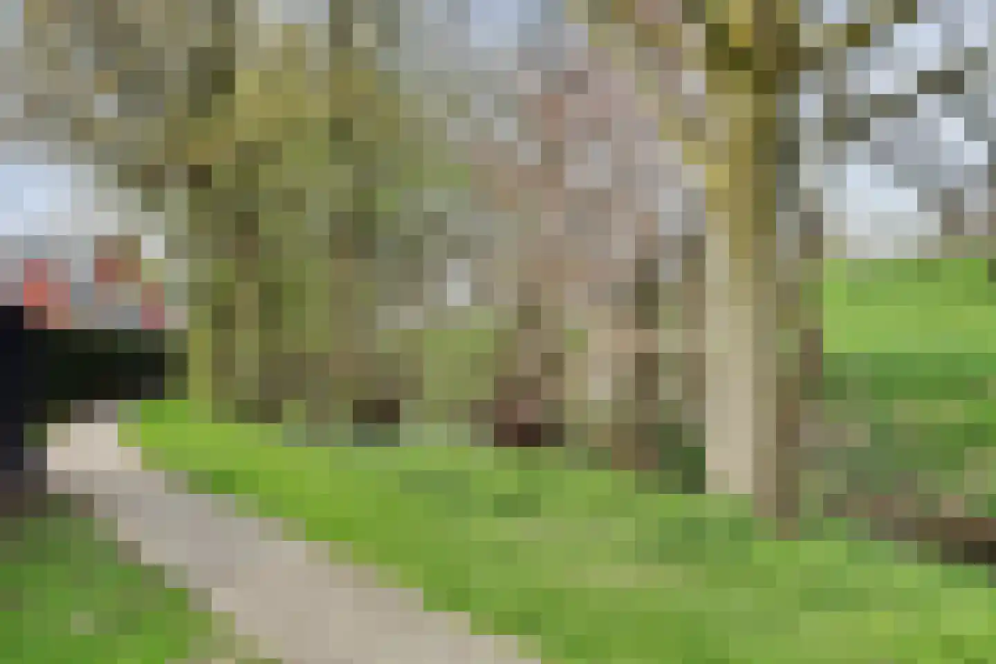 De Jacht 15 Oud-Beijerland thumbnail 27