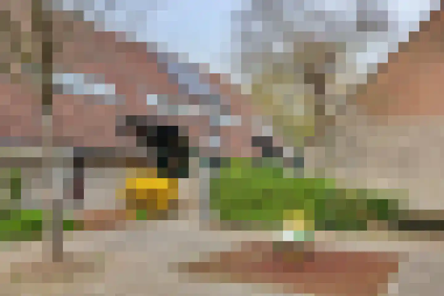 De Jacht 15 Oud-Beijerland thumbnail 29