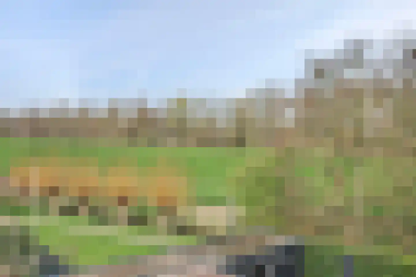 De Jacht 15 Oud-Beijerland thumbnail 5