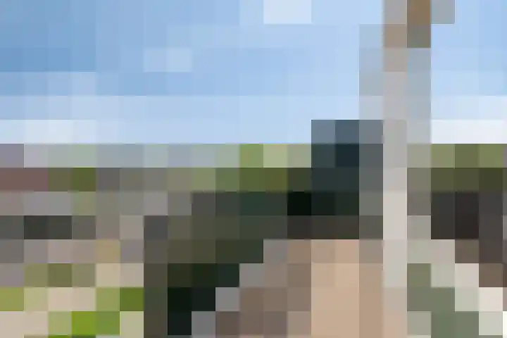 De Jacht 8 Oud-Beijerland thumbnail 22
