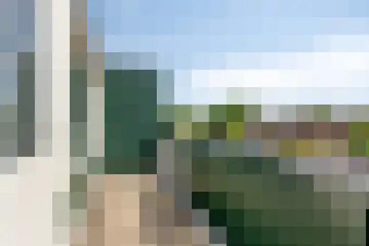 De Jacht 8 Oud-Beijerland thumbnail 23