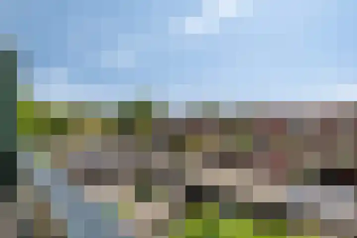 De Jacht 8 Oud-Beijerland thumbnail 24