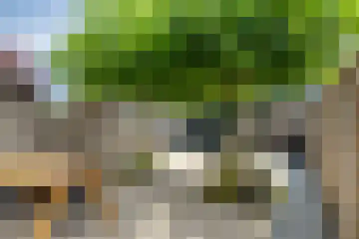 De Jacht 8 Oud-Beijerland thumbnail 25