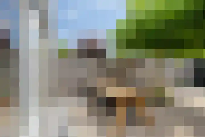 De Jacht 8 Oud-Beijerland thumbnail 26