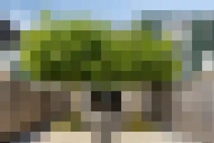 De Jacht 8 Oud-Beijerland thumbnail 29