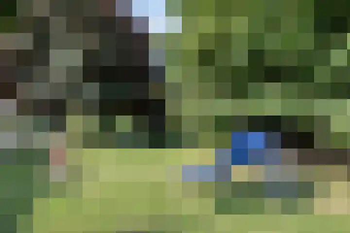 De Jacht 8 Oud-Beijerland thumbnail 33