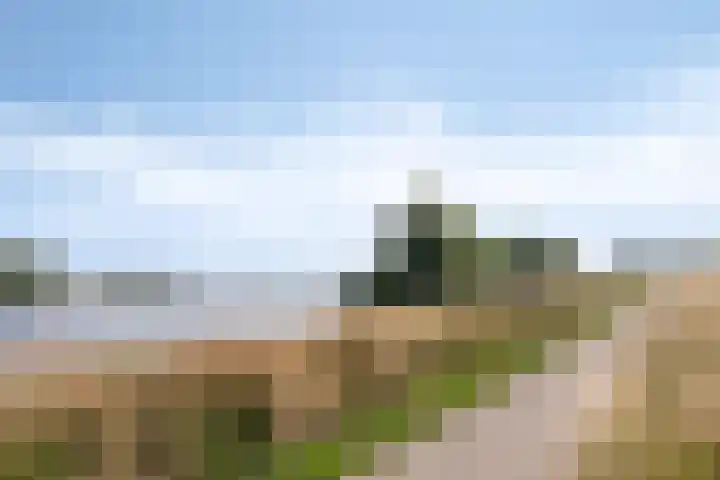 De Jacht 8 Oud-Beijerland thumbnail 35