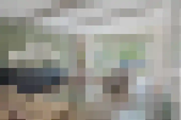 De Jacht 8 Oud-Beijerland thumbnail 4
