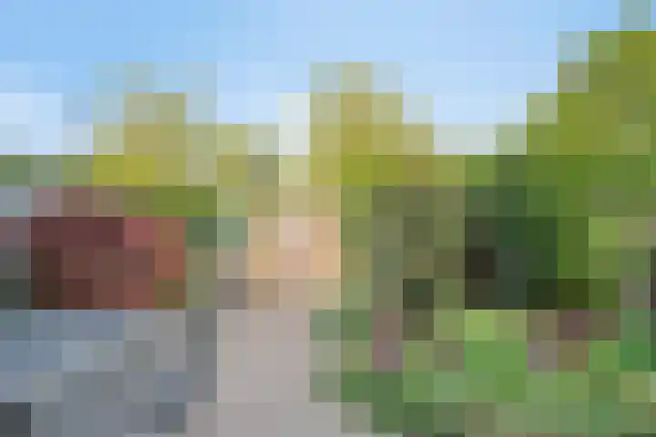 De Jachthoorn 14 Swifterbant thumbnail 35