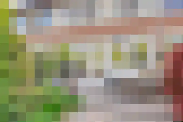 De Jachthoorn 14 Swifterbant thumbnail 36