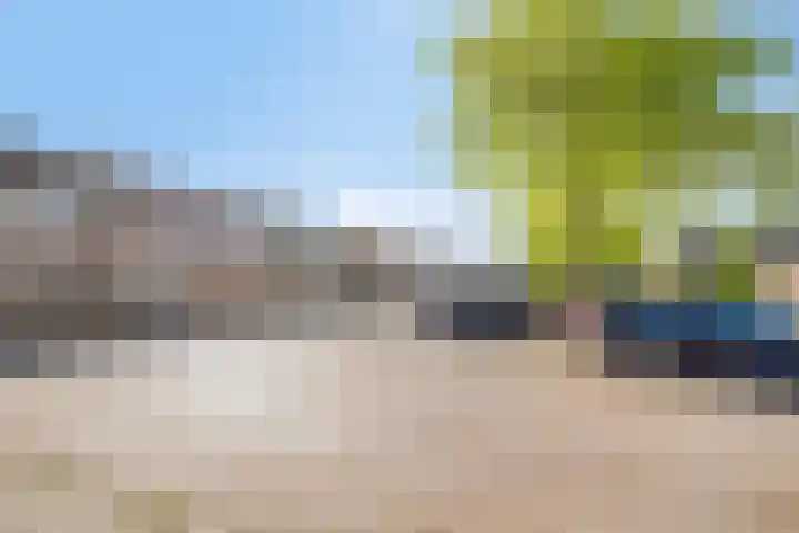 De Jachthoorn 14 Swifterbant thumbnail 38