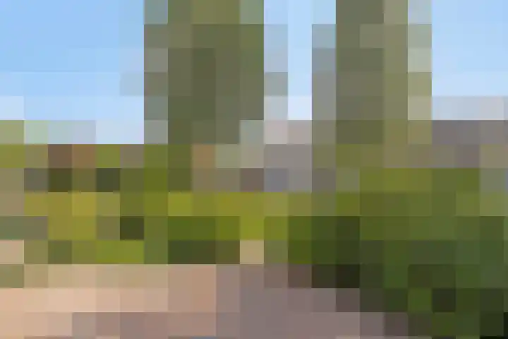 De Jachthoorn 14 Swifterbant thumbnail 39