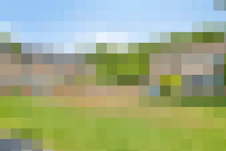 De Jachthoorn 14 Swifterbant thumbnail 40