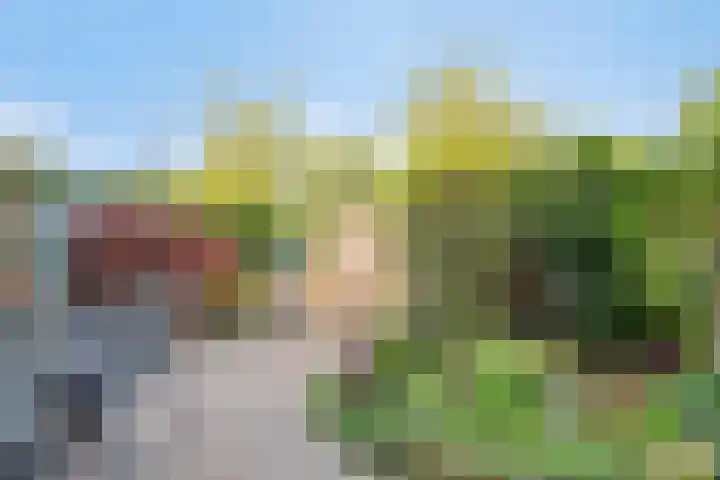 De Jachthoorn 14 Swifterbant thumbnail 5
