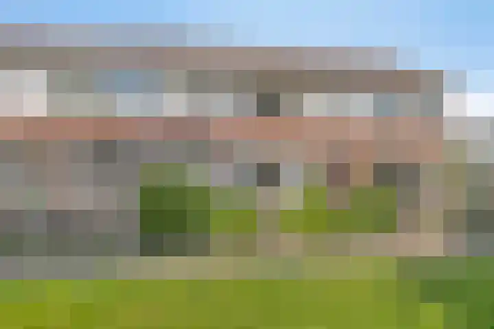 De Jachthoorn 14 Swifterbant thumbnail 6