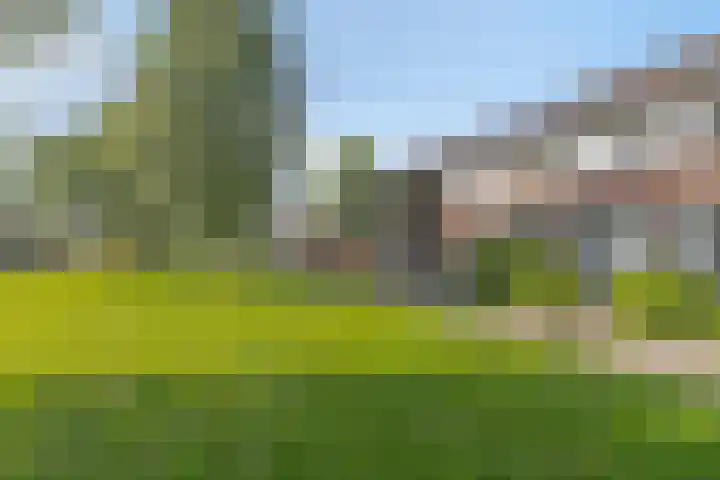 De Jachthoorn 14 Swifterbant thumbnail 8