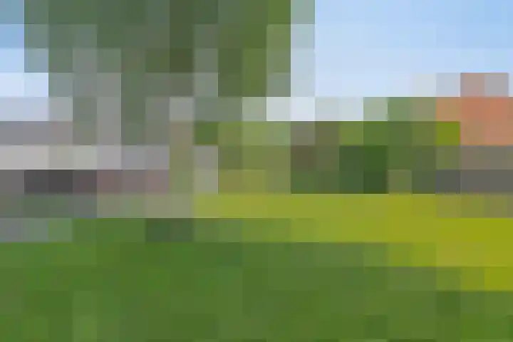 De Jachthoorn 14 Swifterbant thumbnail 9