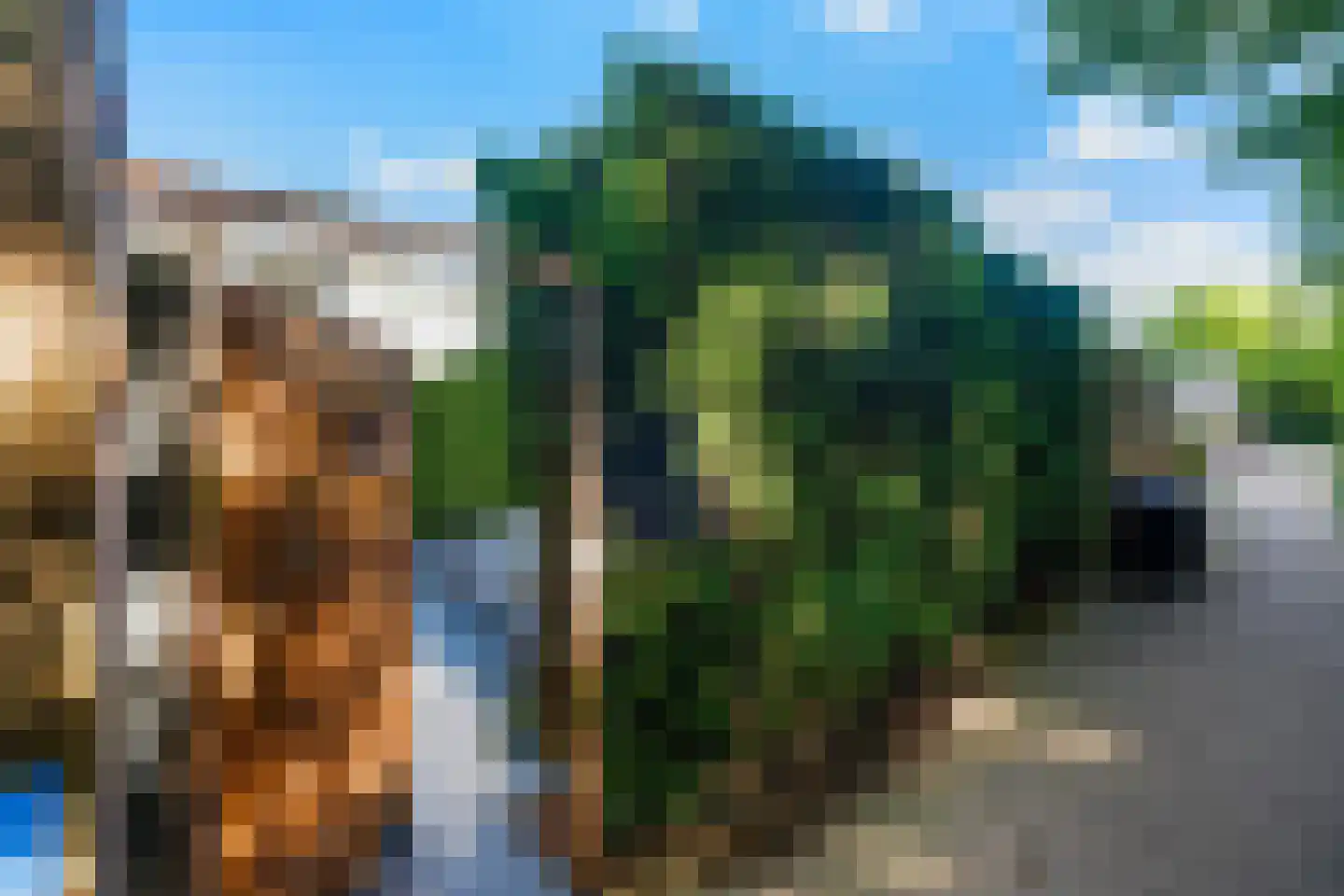 De Jachthoorn 28 Swifterbant thumbnail 27