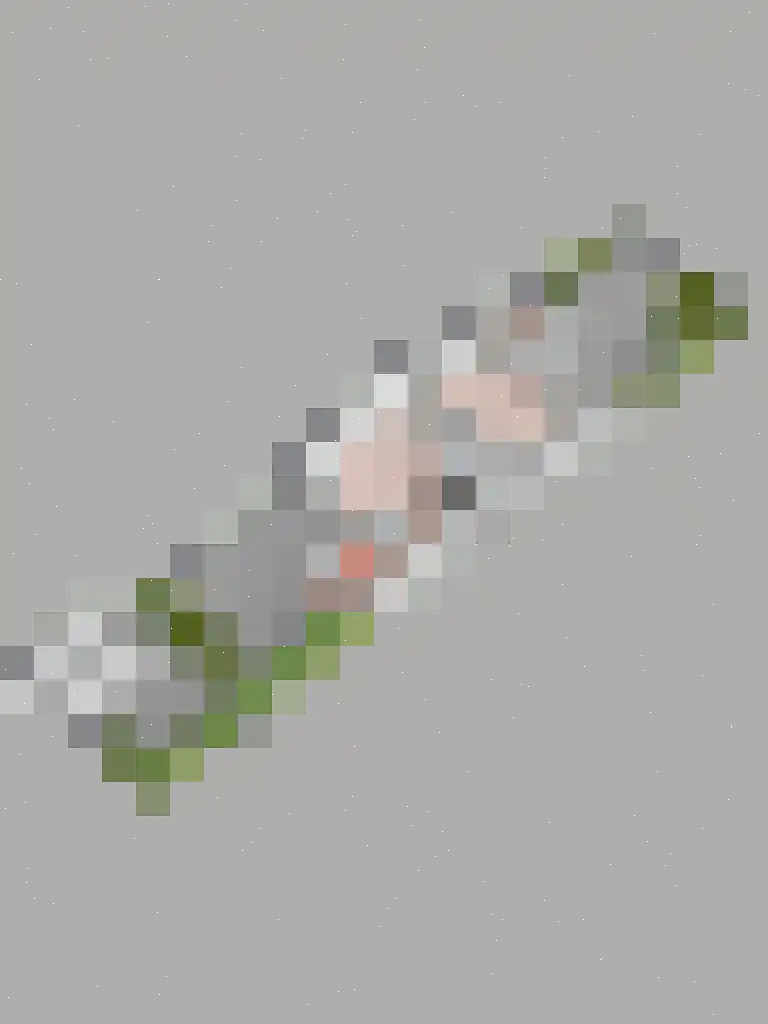 De Jachthoorn 28 Swifterbant thumbnail 36