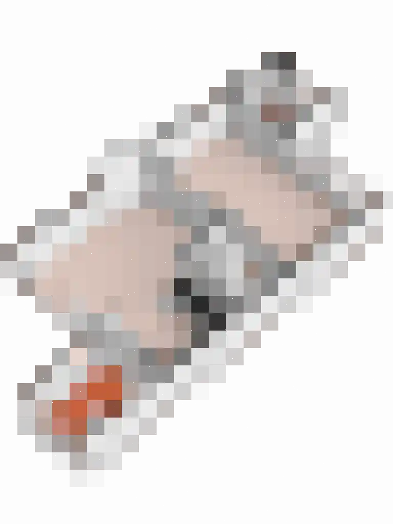 De Jachthoorn 28 Swifterbant thumbnail 37